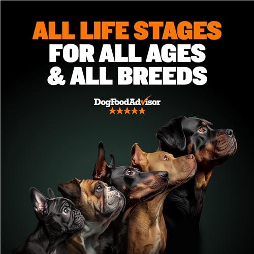 Bully Max Dry Dog Food for Adults & Pupppies - High Protein & Fat for Muscle & Weight Gain - High Performance Dog Food Supplements - Small & Large Breed Dogs (535 Calories Per Cup), Chicken, 5lb Bag