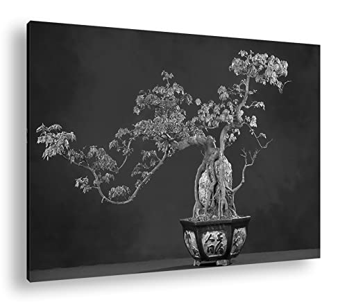 Décoration salon érable à trois pointes au format bonsaï 90 x 60 cm effet noir et blanc chic