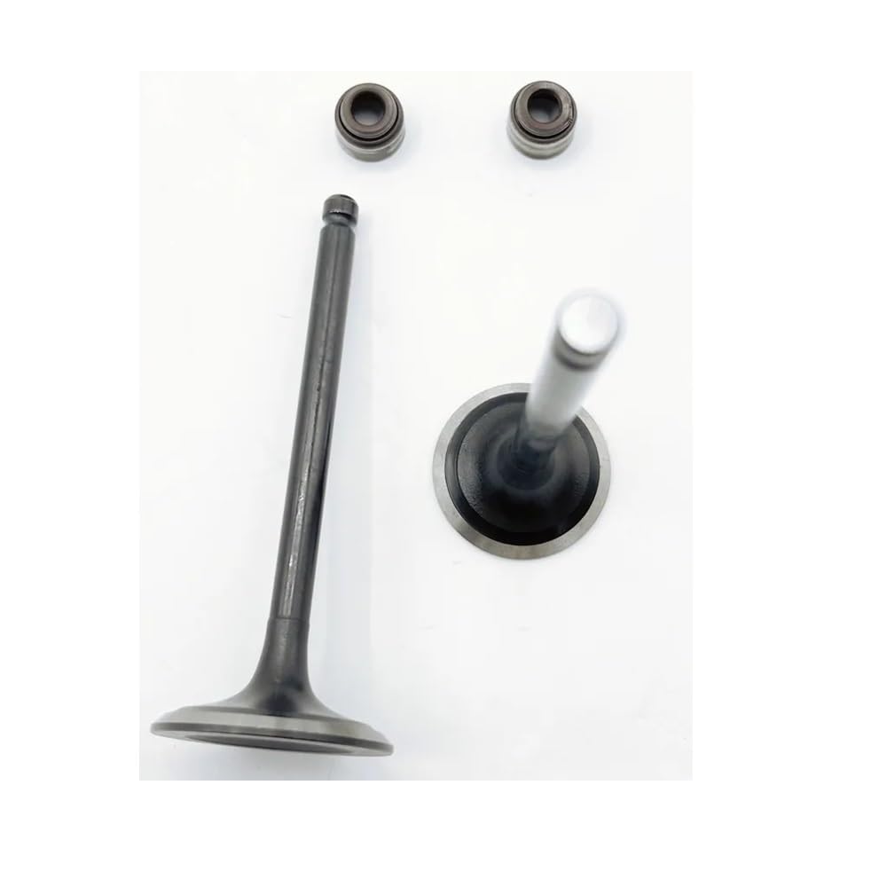 Parts Intake and Exhaust Valves with Oil Seal Fit for His HS400 400CC 500CC ATV UTV