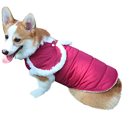 JoyDaog Chal perro abrigo para perros pequeños forro polar cálido perro chaquetas para invierno rojo M Cover