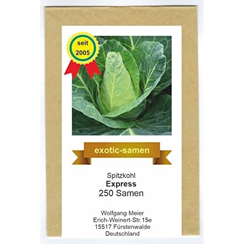 Spitzkohl Express - Frühe Sorte - Weißkohl - samenfeste Sorte - 250 Samen