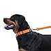 CollarDirect Reflective Dog Collar for a Small, Medium, Large Dog or Puppy with a Quick Release Buckle - Boy and Girl - Nylon Suitable for Swimming (14-18 Inch, Orange)