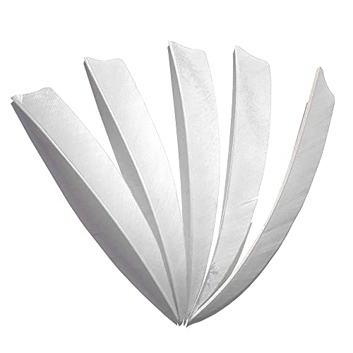 ZZYB 50pcs Plume de Flèche Empennage de Flèche 4 Pouces 5 Pouces Fletches Naturelles Aile Droit pour Les Flèches de Bricolage Flèches de Carbone (Blanche, 4 Pouces) Cover