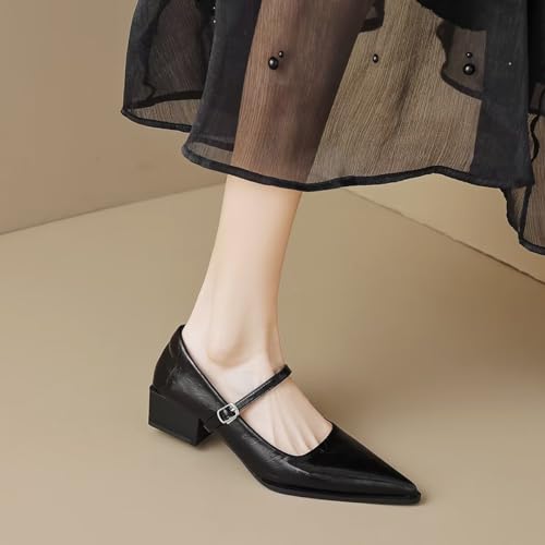 LUXINYU Women Comfortable Microfiber Upper Pointed Toe High Heels Metal Buckle Strap Block Chunky Low Heel Pumps Fashion Party Dress Shoes Work Shoes 6