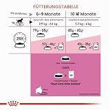ROYAL CANIN Kitten STERILISED Trockennahrung für Katzen – 0.4 kg