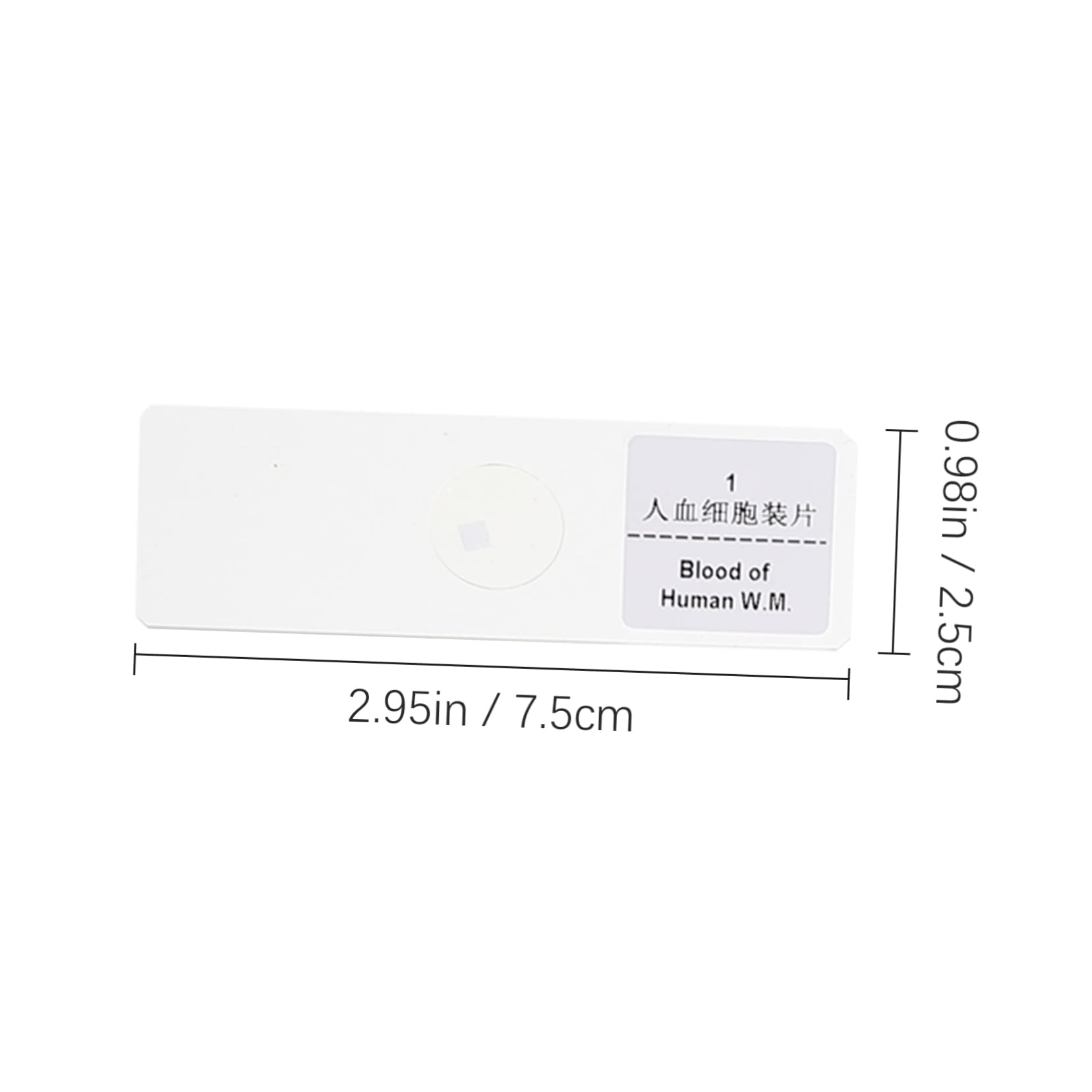 NAMOARLY Glass Microscope Slides 100 Pieces for School Experiments Lab Accessory Blank for Observati