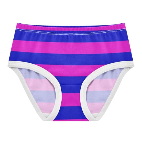 Navy Hot Pink Stripe Toddler Girls's Underwear 2T
