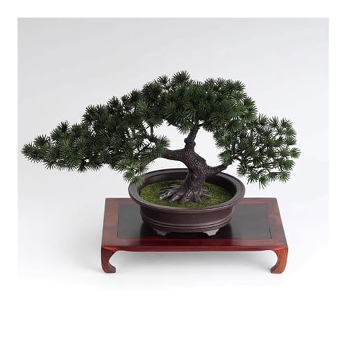 Base en séquoia rectangulaire pour vase et théière dans votre salon - 8