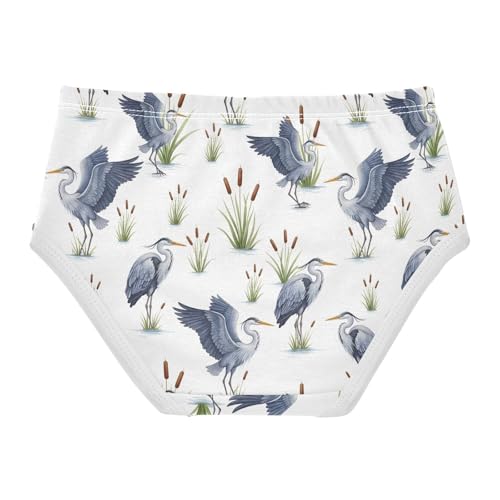 Joisal Toddlers Underwear Floral 2t Cotton Girl Panties Cute Durable Briefs Girls Undies Watercolor White Birds2