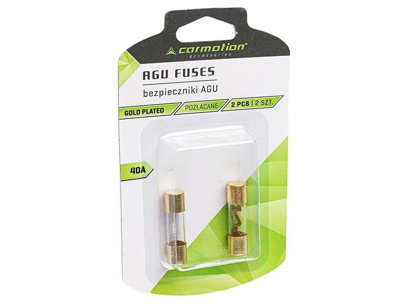 2 fusibili AGU 40A tubo di vetro dorato rivestimento auto Power linea Tube Audio Power