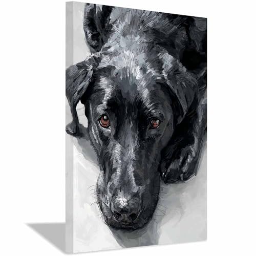 Tableau sur toile labrador couché noir 40x60cm encadré HUYEEI
