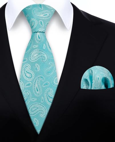 Image of HISDERN Ties for Men Paisley Tie and Pocket Square Woven Classic Floral Mens Ties Handkerchief Set Wedding Party Necktie
