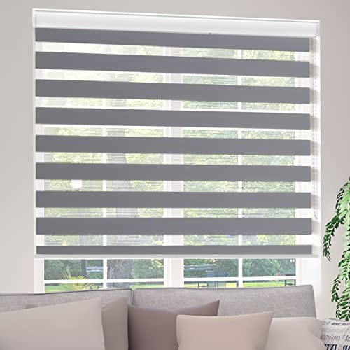 Bliwans Zebra Roller Shades, Zebra Blinds for Window, Double Layered, Sheer or Privacy Light Filtering Shades for Day and Night, Roll Up and Down, for Home, Office, Living Room, 22" W X 64" H, Grey