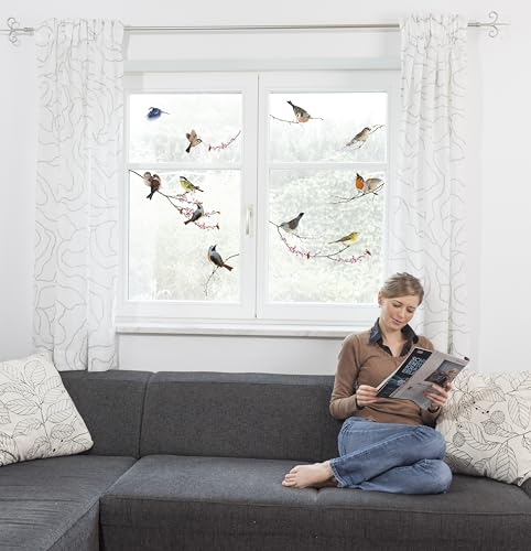 Komar Fenstersticker Vögel - Birds - 2 Bogen in der Größe 31 x 31 cm - Fensteraufkleber, Fensterdeko, Fensterfolie, Blaumeise, Kohlmeise, Rotkehlchen, Gartenvögel, gegen Vogelschlag