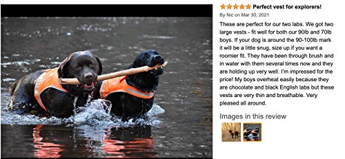 SafetyPUP XD Lite Dog Vest. Coverage to Mid Back. Reflective Hi Visibility Blaze Orange Fluorescent Fabric Helps to Keep… - Image 2