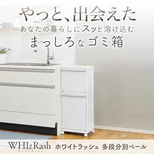 天馬 スリム多段分別ゴミ箱 WR-3521