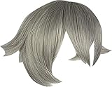 Mingchuan Etasy Cosplay Wig for Touken Ranbu Online Hotarumaru