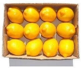 WOFEE 12pcs Artificial Lemons Faux Plastic Fruit Home Party Decor Display