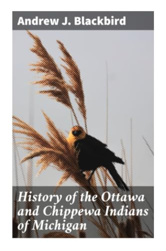 History of the Ottawa and Chippewa Indians of Michigan: An Odawa and Ojibwe Chronicle of Oral Tradition, Treaties, and Great Lakes Survival