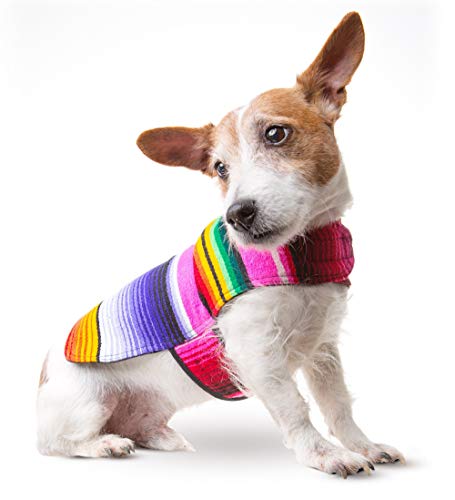 Dog Clothes - Handmade Dog Poncho - Cinco De Mayo Chihuahua Costume From Authentic Mexican Blanket (Pink, Xxs) #TOP4
