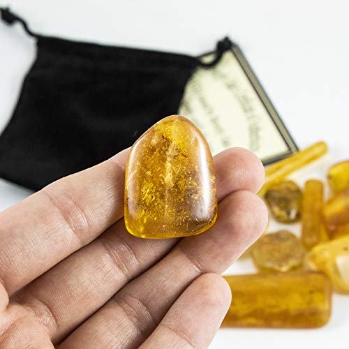 Amazing Genuine Amber Stone with Fossilized Insects and Inclusions with Beverly Oaks Certificate of Authenticity in a Black Velvet Bag (S6B5)