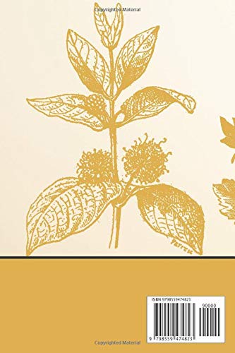 Telephone Witnessing: Phone Witnessing Organizer for Jehovah\'s Witnesses: Perfect for doing Field Ministry from Home! Perfect Gift.