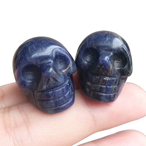 Manekieko 2 Pcs Natural Sodalite Mini Crystal Human Skull Figurines,25mm Handcarved Crystals and Healing Stone Room Decor Gemstone