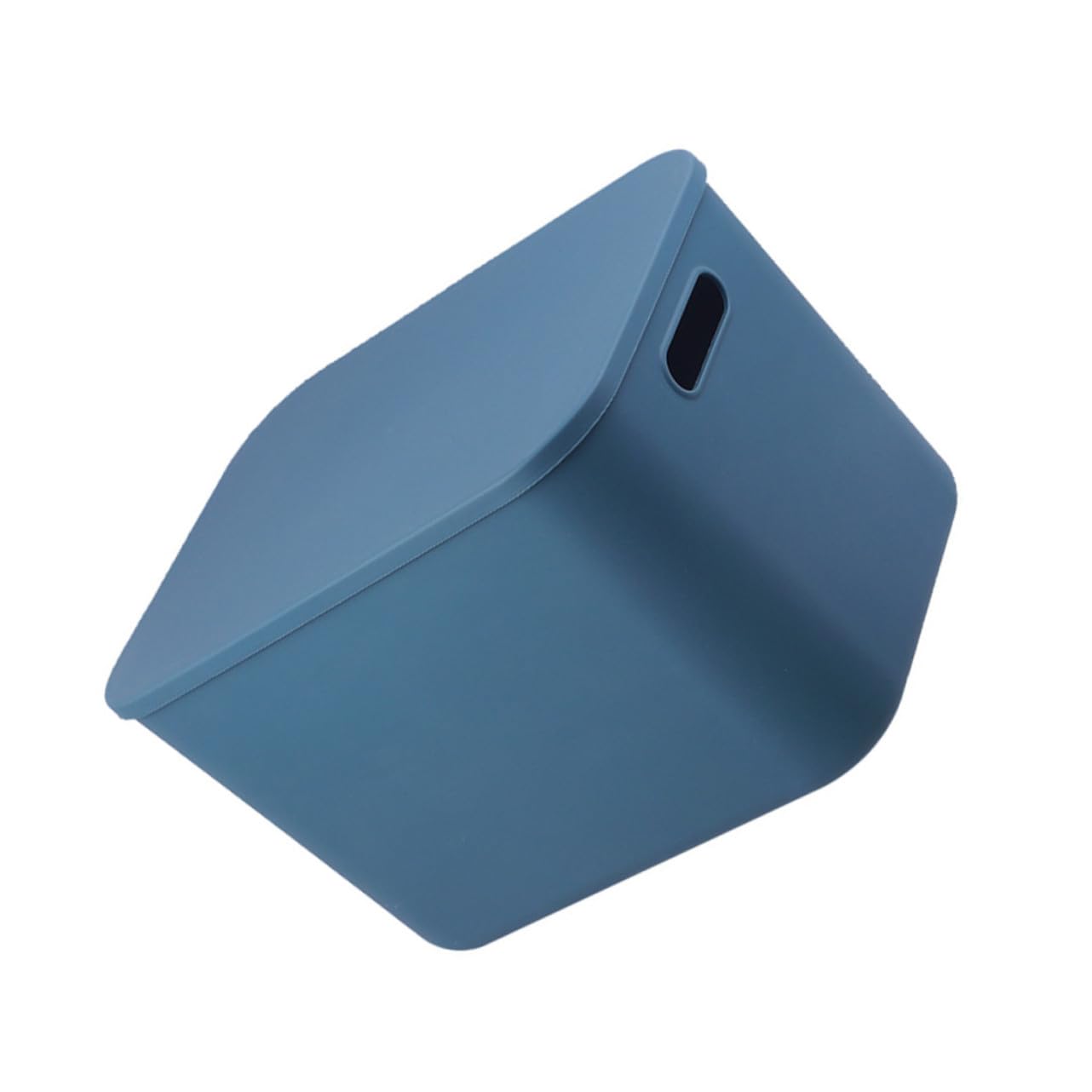 Contenitore con e Manici in Plastica Scatola Rigida per Armadio e Casa Organizer per Vestiti Biancheria e Accessori Blu