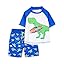 Blue White Dinosaur