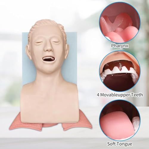 Modello di intubazione per adulti con controller laringoscopico Allenamento di emergenza Gestione delle vie aeree orofaringee Modello anatomico con allarme pressione dei denti Modello di allenamento
