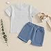 COORALLY Toddler Baby Boy Duck Outfit Short Sleeve T-shirts Elastic Waist Shorts Farm Clothes 2 Piece Summer Set (Blue, 18-24 Months)
