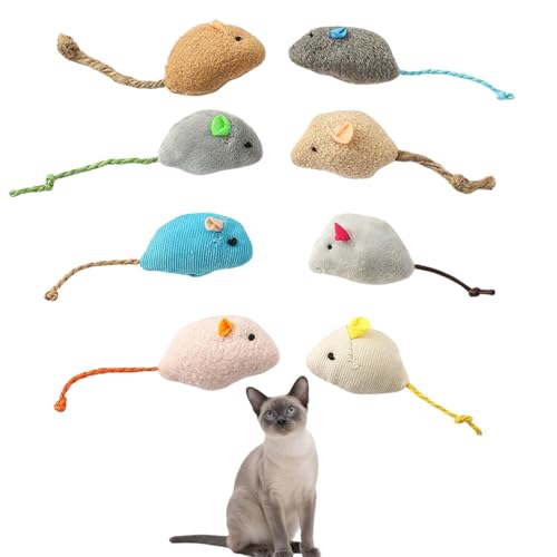 Lifetips TCA~[Y VL Siamese Lp lY~ʂ 8Zbg qL L V XgXU ^s ӂӂf L炵  ybgObY