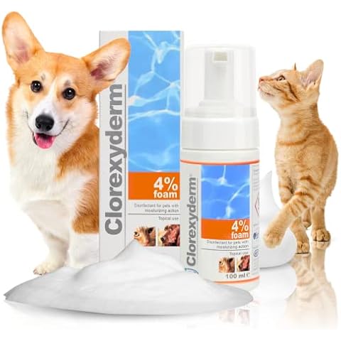 Clorexyderm 4% Foam Mousse - Dry Shampoo for Dogs & Cats - Antibacterial & Antifungal - Dry Itchy Skin Relief - Moisturises, Soothes & Softens Skin & Coat - Easy Alternative to Wet Bathing - 100 ml Cover