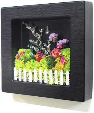 Scandia Moss Frame (black) for Air purification Removal of Sick House Syndrome Interior Hand-made