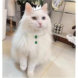   2-Row-Pearls-Collar-for-Cats-Pearl-Dog-Collar-Rhinestone-Necklaces-for-Small-Dogs-Collar-Accessories-Cat-Pearl-Collar-Small-Emerald