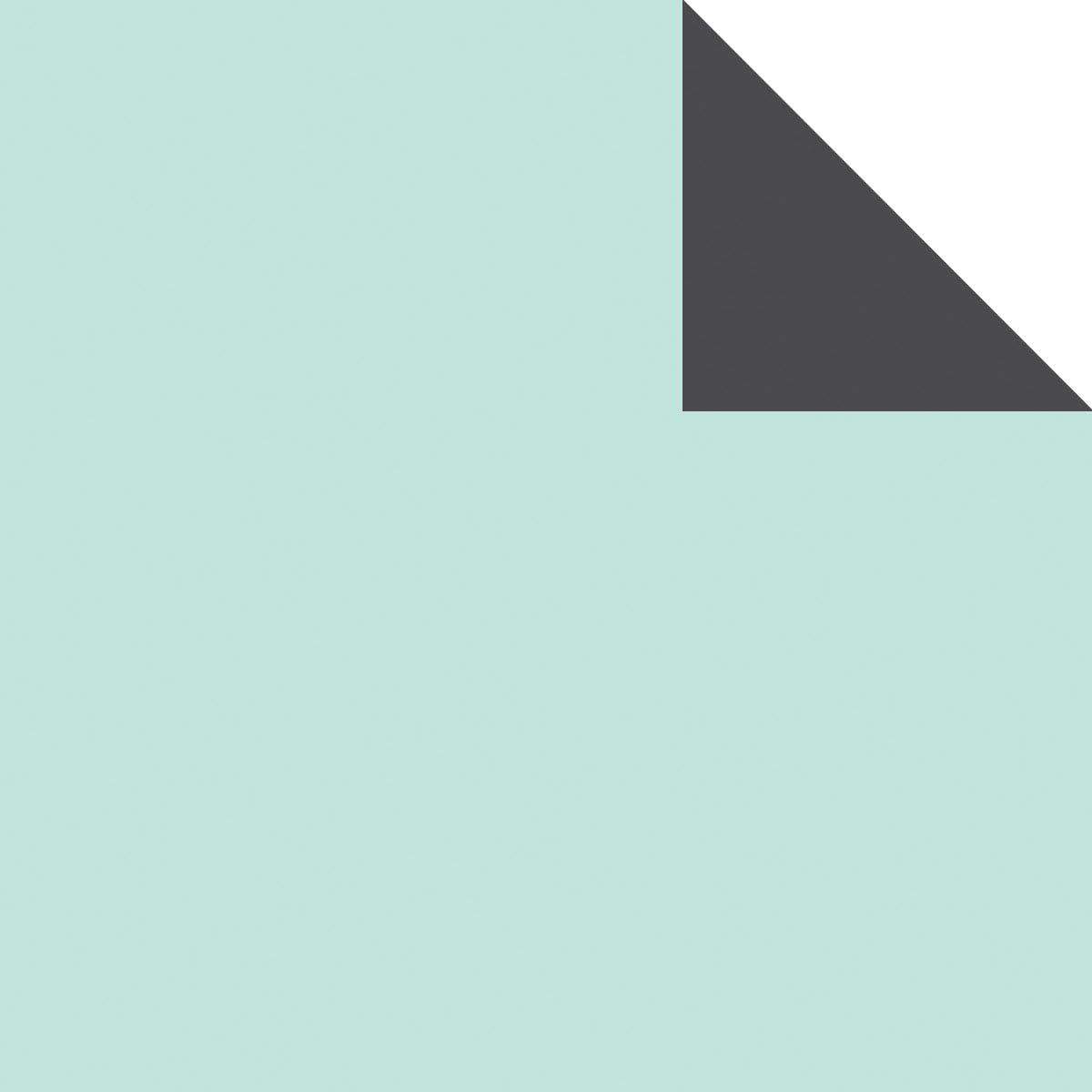 Echo Park Paper CLCS12-64019 Capture Life Double-Sided Cardstock 12 in. x 12 in.-Mint-Gray - Pack of 25
