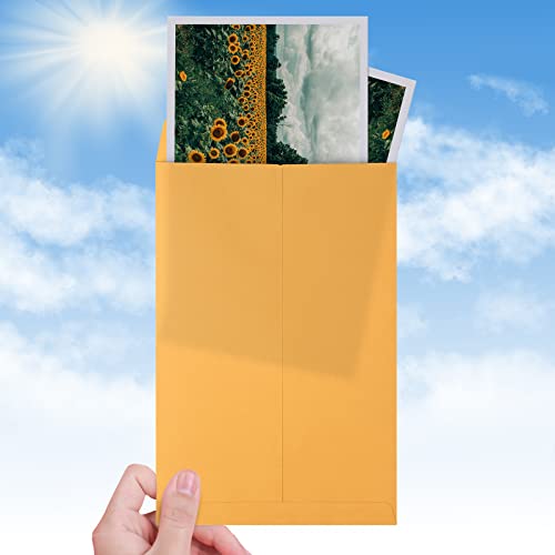 Eupako Catalog Envelopes 6X9 Small Brown Envelopes Self Seal 250 Pack For Mailing, Organizing, Storage #TOP3