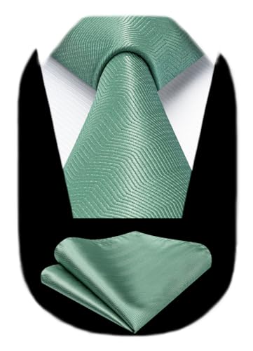HISDERN Sage Green Tie Formal Wedding Tie and Pocket Square Set Classic Elegant Business Necktie and Handkerchief Party