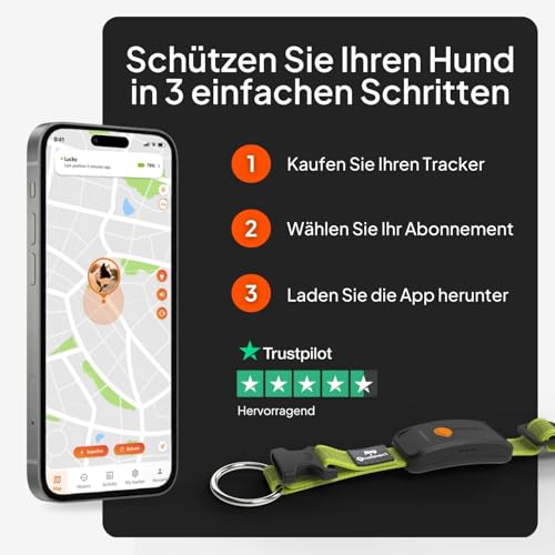 Weenect Hund XT - NEUES GPS-Halsband für Hunde | XL-Antenne | Wasserdicht | Hyperresistentes integriertes Julius-K9 Halsband Gelb Abonnement erforderlich