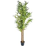 Material Fuß: stabiler zementierter Basistopf, Durchmesser am Boden ca. 20 cm