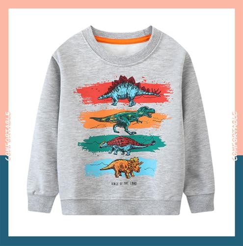 Boys Sweatshirts Casual Sweatshirts Cotton Sweatshirts Long Sleeve T-shirts Crew Neck Cartoon Tops for Boys-83