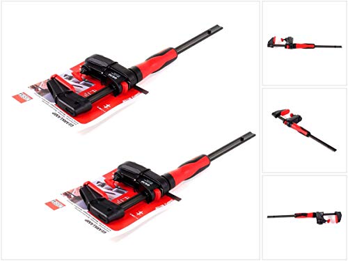 Preisvergleich Produktbild Bessey GK30 Getriebezwinge / Schraubzwinge GearKlamp GK 300 / 60 2er Pack
