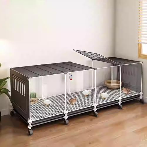 Cage À Poulet Transparente, Cage Caille avec Plateau Coulissant Et Roulette， Poulailler Rutin Clapier À Lapin Portable, Cage À Volaille pour Petits Animaux(Black,144 * 47 * 45cm)