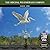 Good Directions Blue Heron Weathervane, Blue Verde Copper, Patina