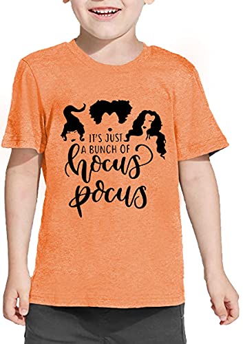 LAZYCHILD It's Just A Bunch of Hocus Pocus Halloween T Shirt Toddler Boys Girls Sanderson Sister Graphic Tee Shirts3