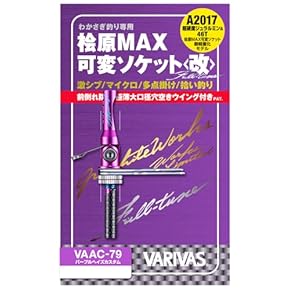 EVO II ワカサギ竿 限定150本 2本セット おまけ付き EVO II ワカサギ竿 限定150本 2本セット おまけ付き EVO II ワカサギ竿