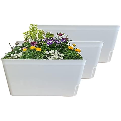 Olly & Rose Lazy Planters - Self Watering Planters - Pack of 3 - Matt White Self Watering Plant Pots (White) Cover