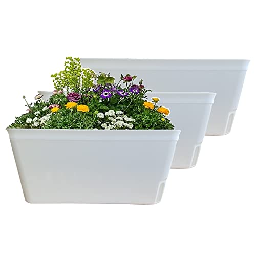 Olly & Rose Lazy Planters – Macetas de riego automático – Paquete de 3 – Macetas de autorriego Blanco Mate (Blanco)