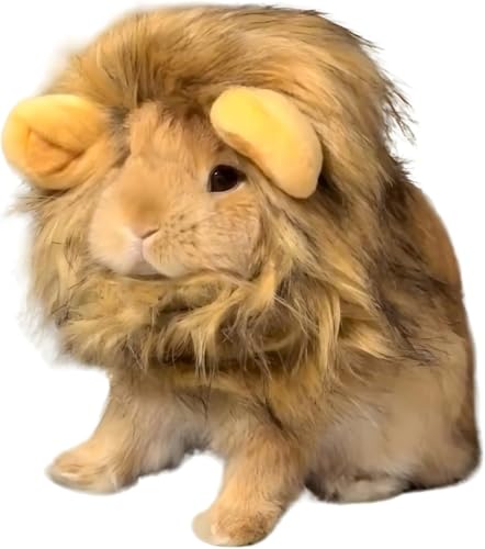 HAICHEN TEC Bunny Wig Lion Mane Halloween Cosplay Hat Adjustable Pet Hat Lion Hair Cap Headwear for Small Animal Cat Rabbit Guinea Pig Dog Photo Shoot (S)