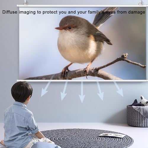 Pantalla manual enrollable 72 pulgadas 16:9 para proyector miniatura 5